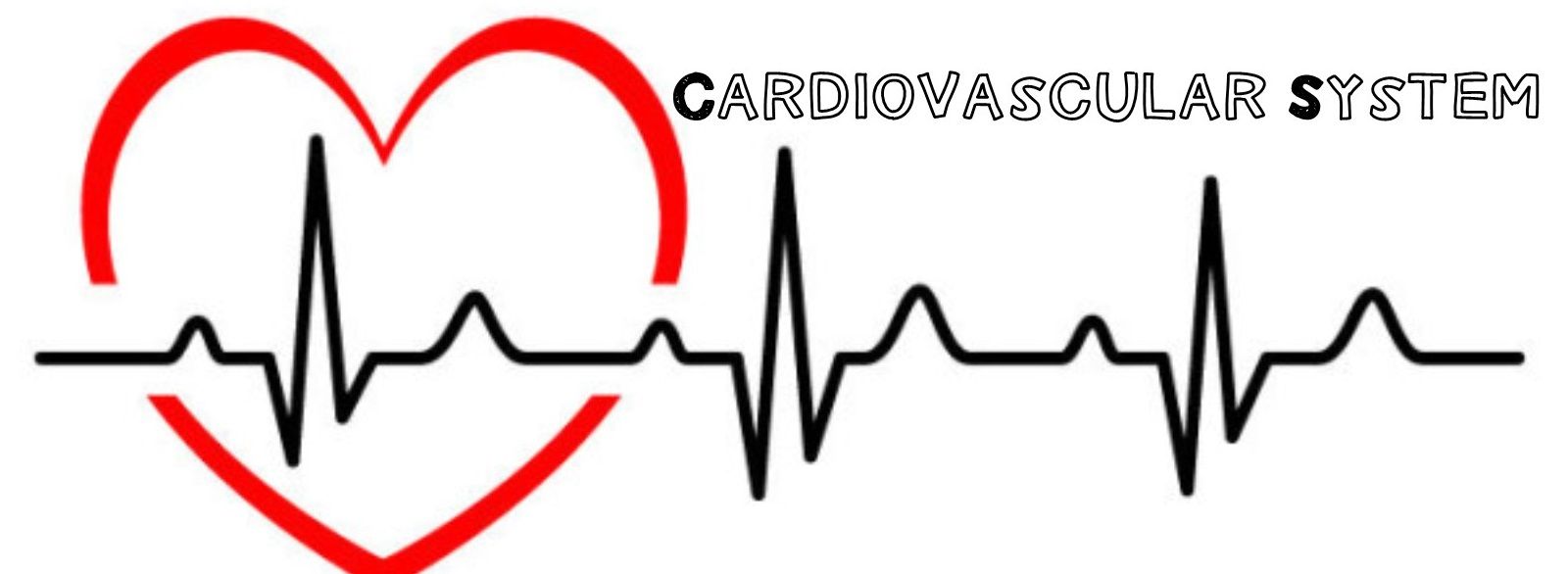 Human Body Series Part 1: Cardiovascular System — Steemkr